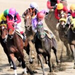 Thumbnail of related posts 179